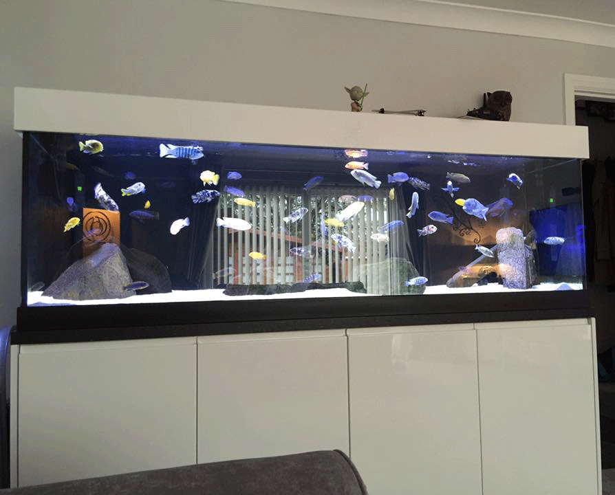 Background Colour – ND Aquatics LTD